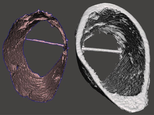 3D Body Scanner scan data